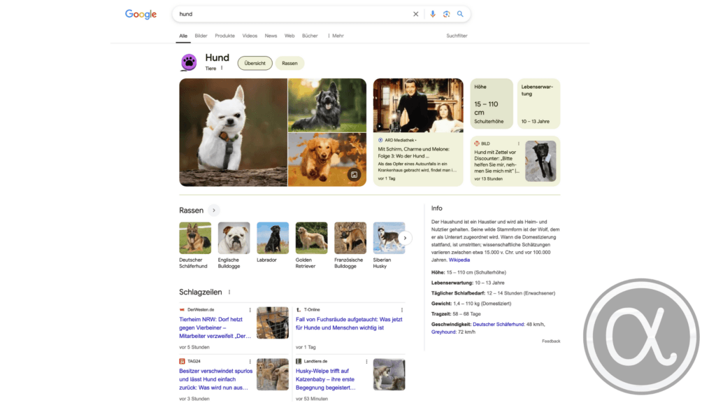 SERP erklärt: Aufbau, Features und Optimierung 1 Beispiel einer Google-SERP mit unterschiedlichen Suchergebnis-Features