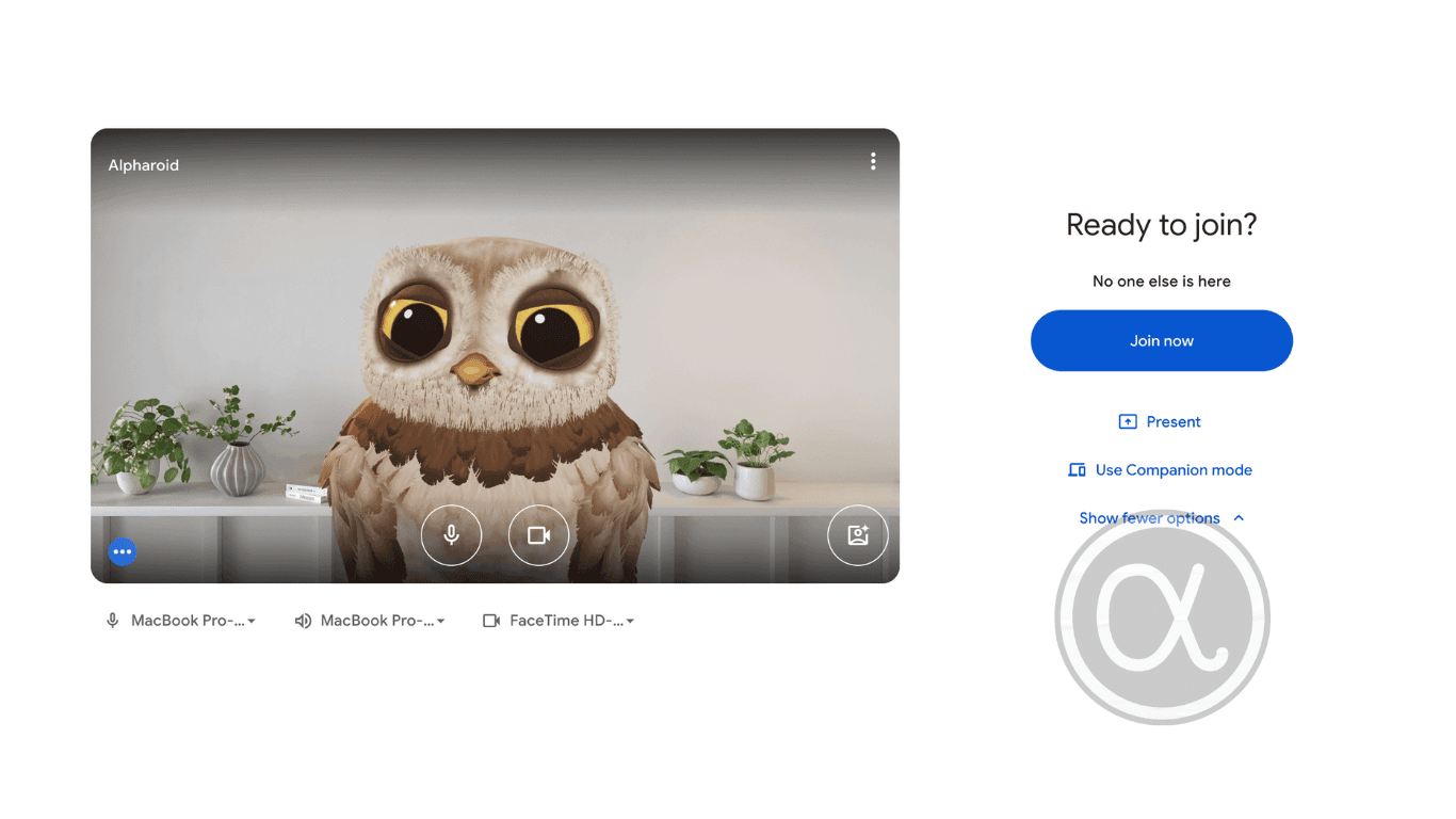 suchmaschinenoptimierung beratung, google meet